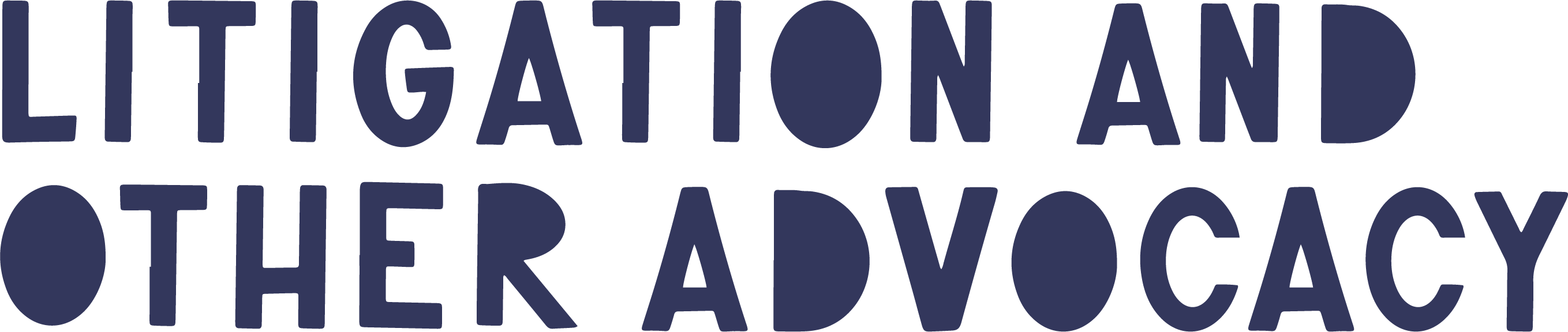 Litigation and other advocacy