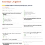 4-strategic-litigation-tool_page_1